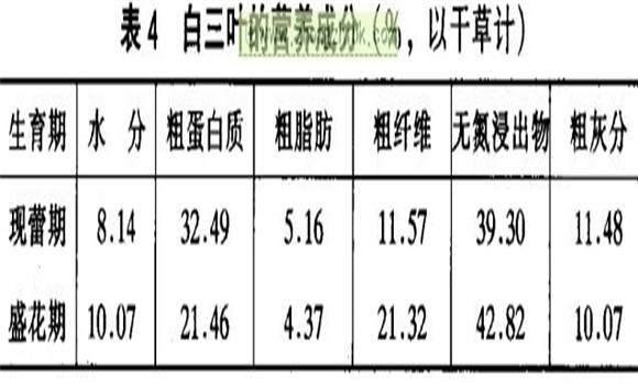 白三叶经济价值及利用