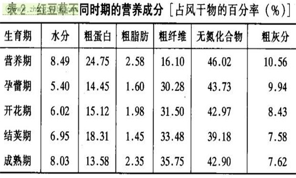 红豆草经济价值及利用