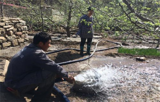 苹果树的浇水要求