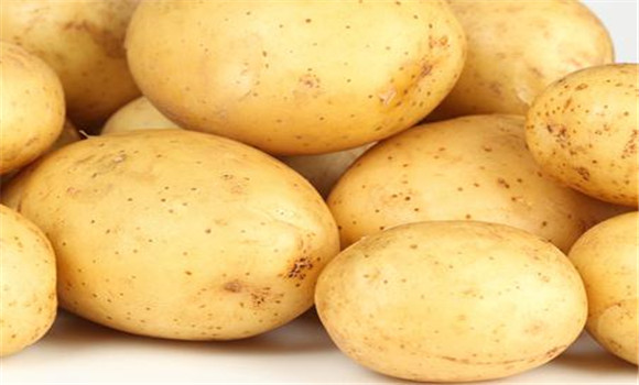 马铃薯营养特点