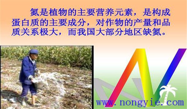 氮是植物蛋白质的主要成分