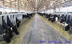 夏季奶牛的防暑降温措施与饲养管理技术要点