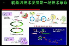 转基因技术的原理是什么,在农业上的应用有哪些