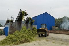 怎样对玉米秸秆进行青贮调制