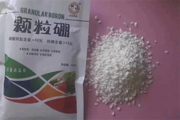 硼肥对作物的作用有哪些