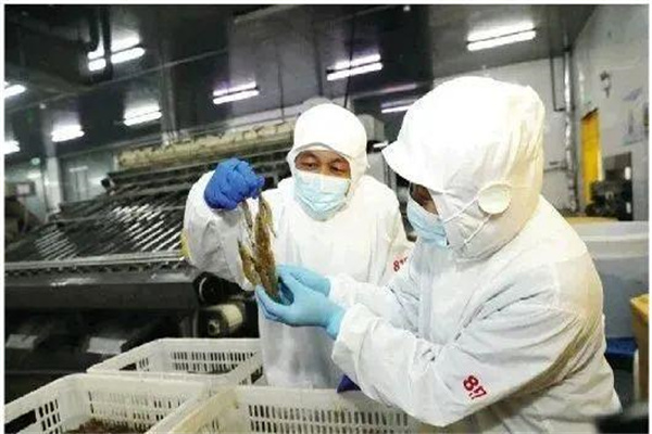 南美白对虾虾苗运输问题
