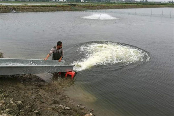 虾池在什么情况下必须换水