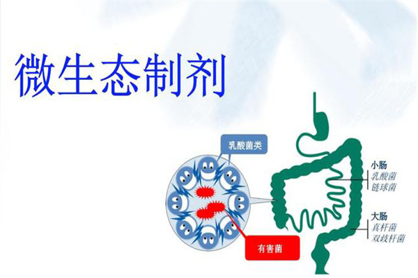 微生态制剂的作用原理