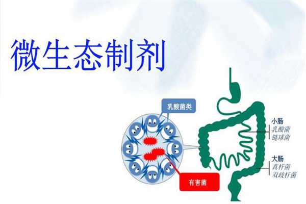 微生态制剂的作用原理