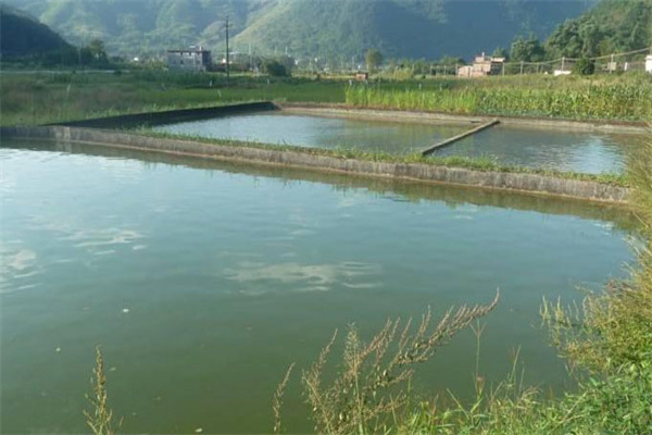 养鱼池塘的水质标准