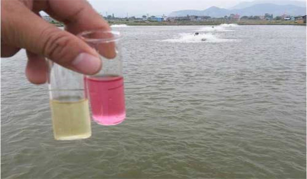 水产亚硝酸盐中毒症状
