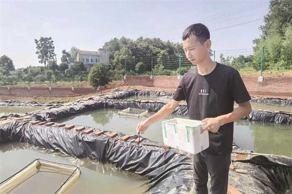 鱼池的并塘方法