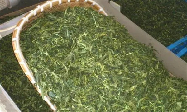 炒青绿茶加工分为哪几道工序