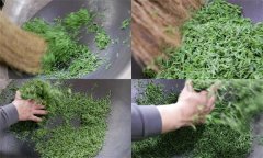 毛尖茶手工制作的具体步骤和方法是什么？
