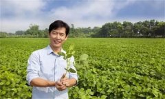 新型农民是指什么农民，其具备哪三个特征