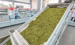 扁形名优绿茶机械加工的具体方法是什么？