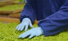 扁形名优绿茶手工制作的工艺流程和具体方法