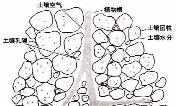 什么是土壤结构