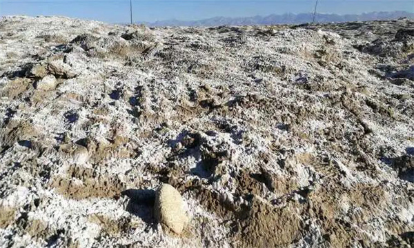 耕地土壤盐碱化的原因及防控措施